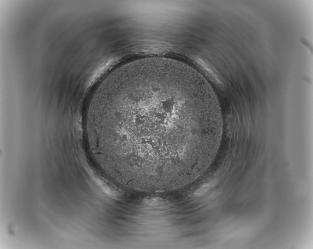 X0000096420634200801241317