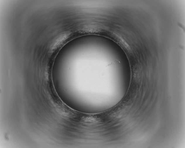 X0000096420635200801241318