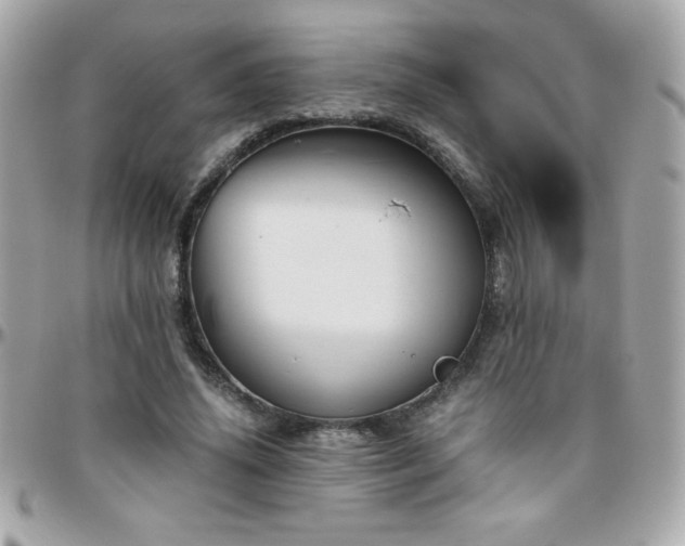 X0000096420636200801241318