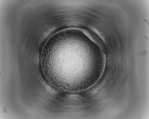 X0000096420637200801241318