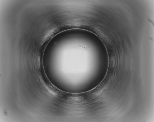X0000096420638200801241318