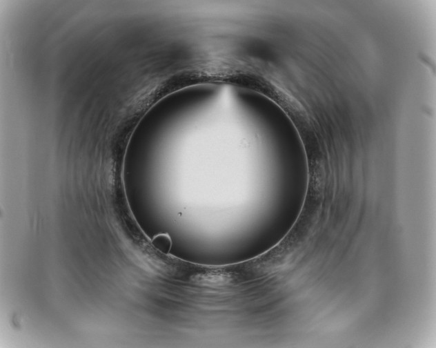 X0000096420639200801241318