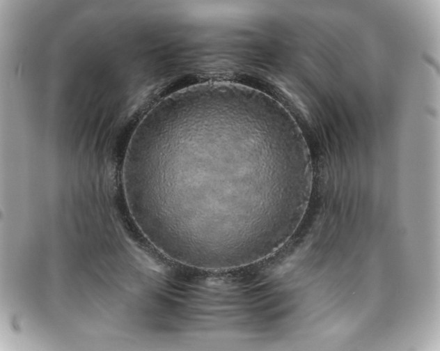 X0000096420641200801241318