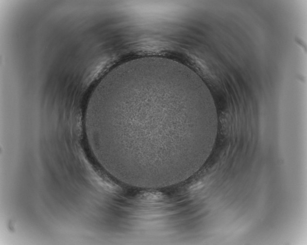 X0000096420642200801241318