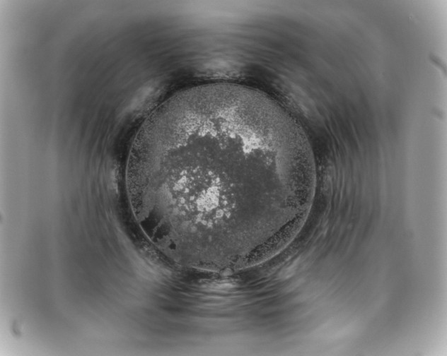 X0000096420643200801241318