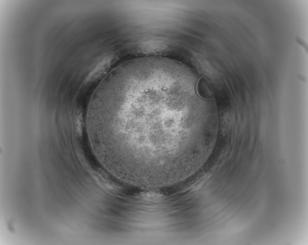 X0000096420644200801241318