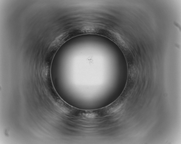 X0000096420645200801241318