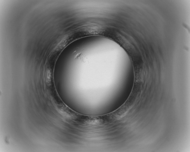 X0000096420646200801241318