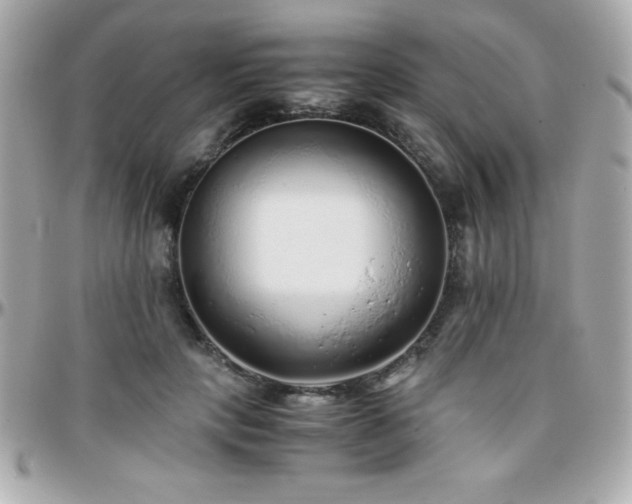 X0000096420649200801241318