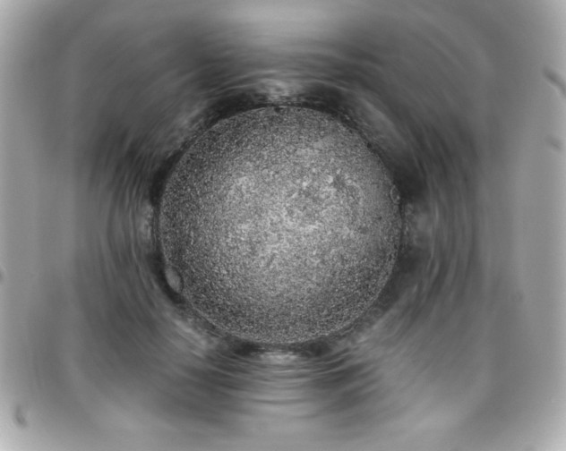 X0000096420650200801241318