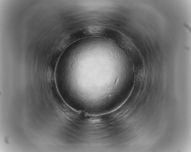 X0000096420651200801241318