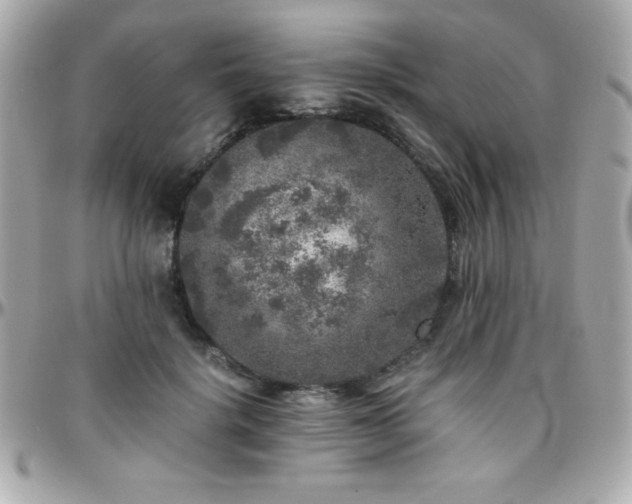 X0000096420652200801241318