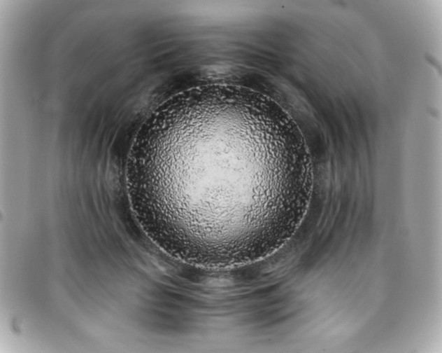X0000096420653200801241318