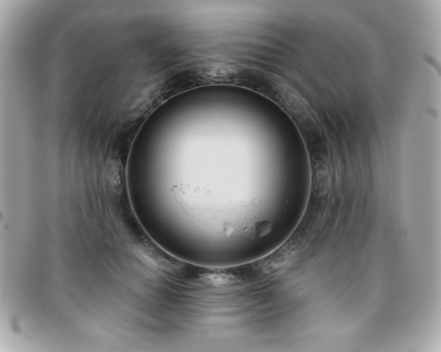 X0000096420654200801241318