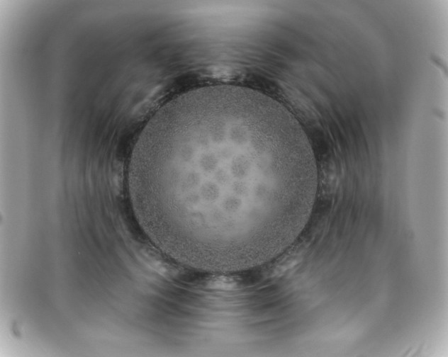 X0000096420656200801241318