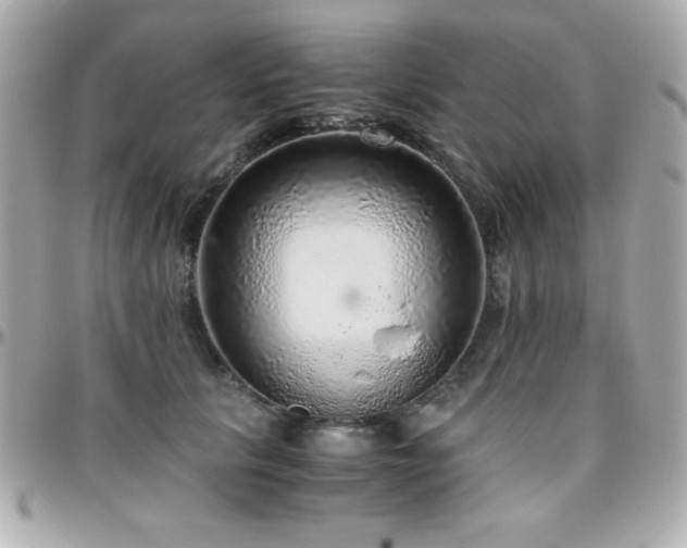 X0000096420657200801241318