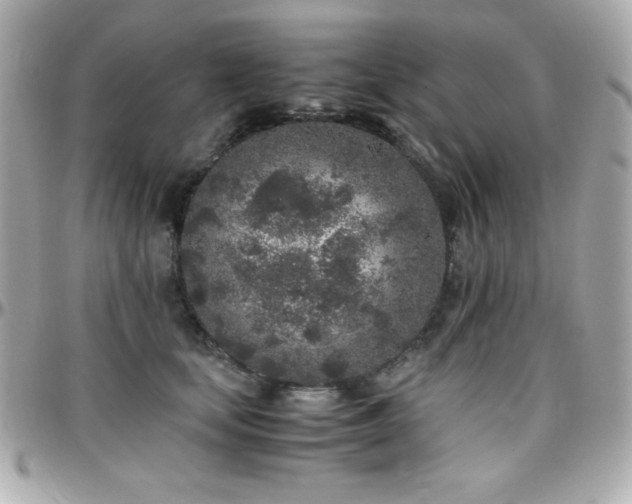 X0000096420659200801241318