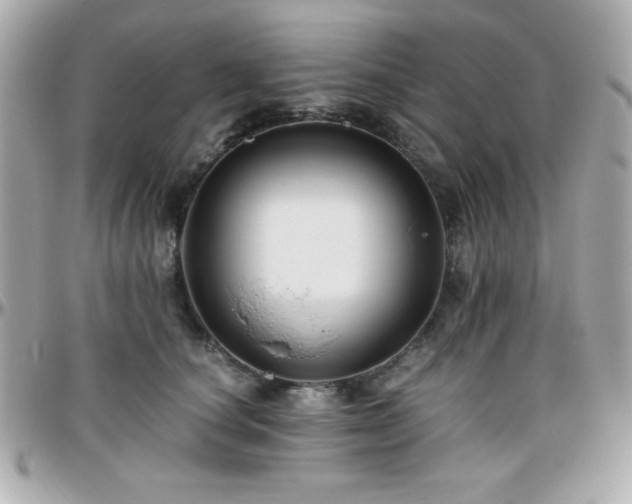 X0000096420660200801241318