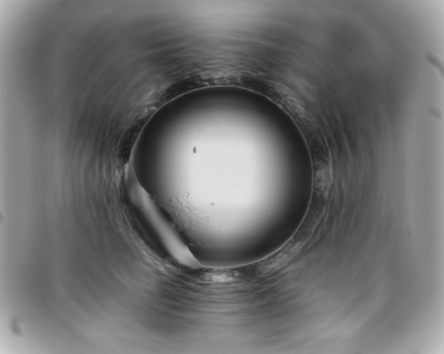 X0000096420662200801241318