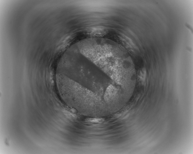 X0000096420663200801241318