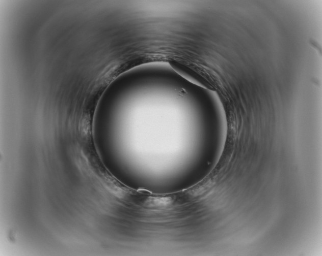 X0000096420665200801241318