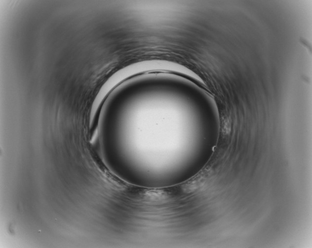 X0000096420666200801241318