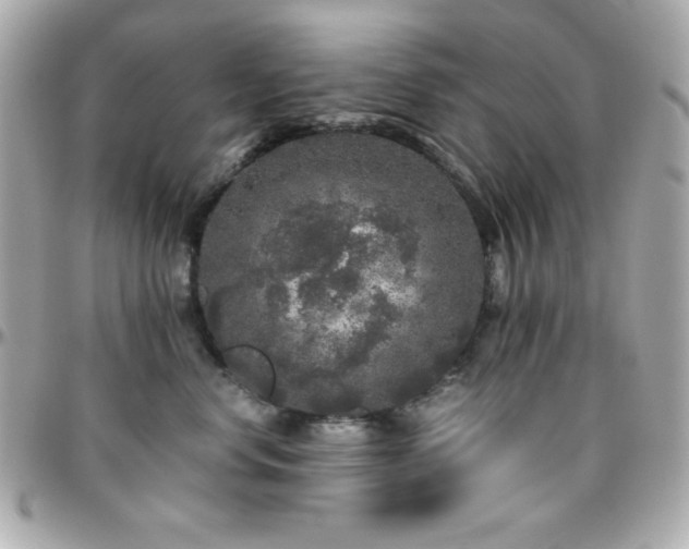 X0000096420668200801241318