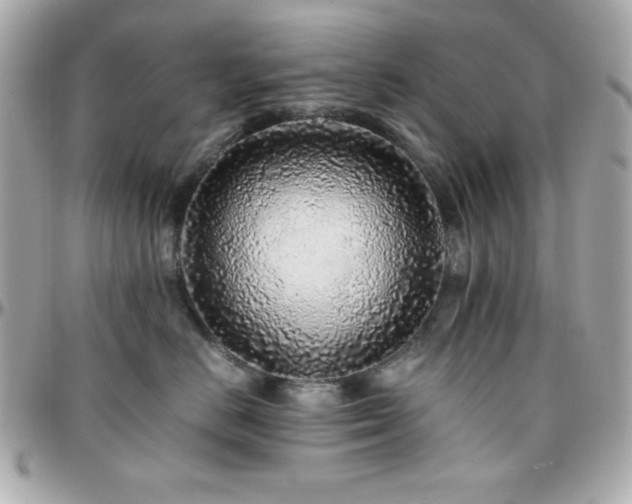 X0000096420670200801241318