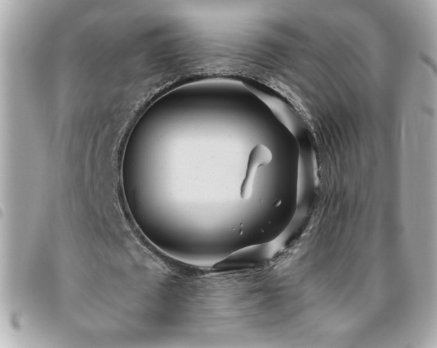 X0000096420673200801241317