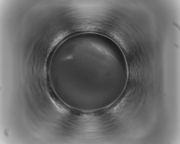 X0000096420674200801241317