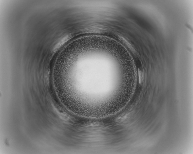 X0000096420675200801241317