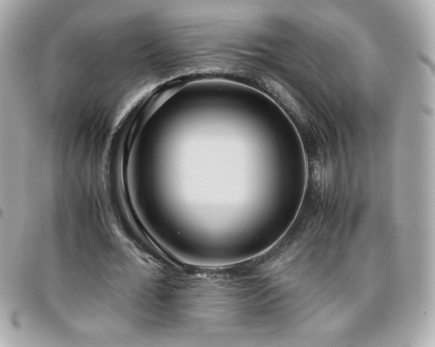 X0000096420676200801241317