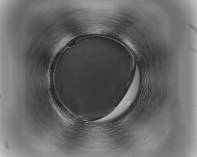 X0000096420678200801241317