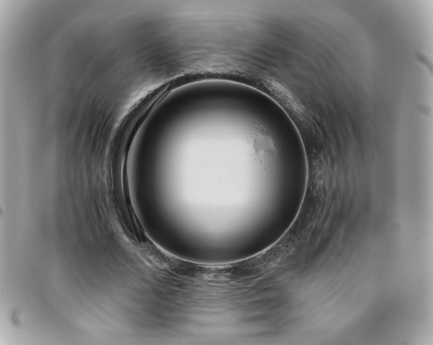 X0000096420680200801241317