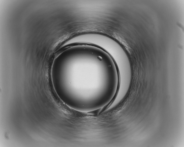 X0000096420681200801241317