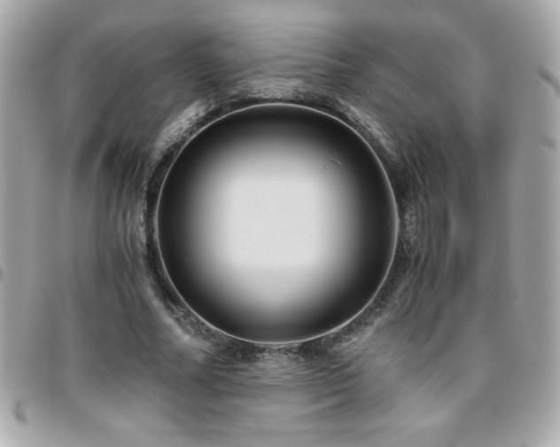 X0000096420682200801241317