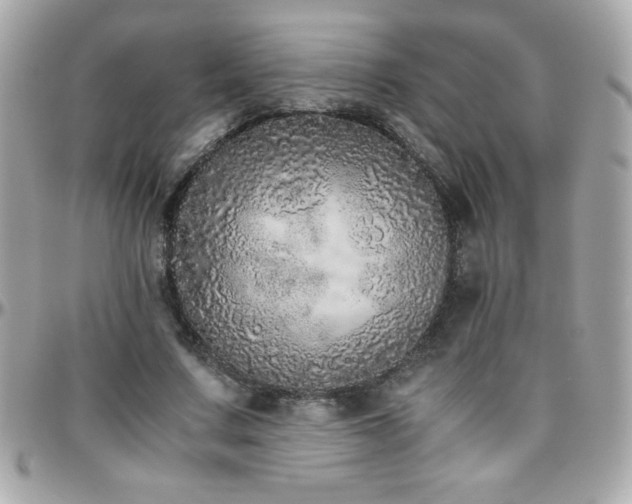 X0000096420683200801241317