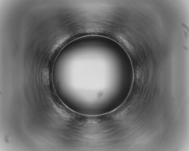 X0000096420684200801241317