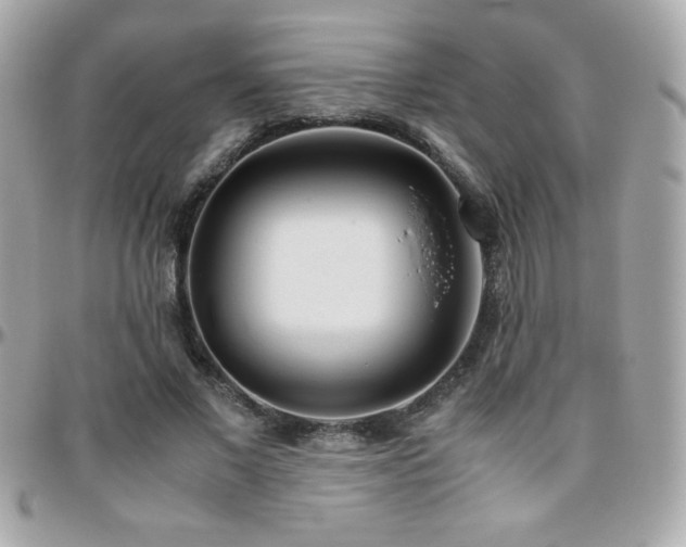 X0000096420685200801241317