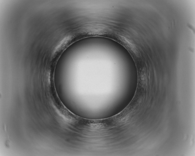 X0000096420686200801241317
