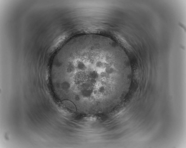 X0000096420687200801241317