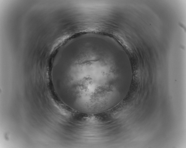 X0000096420688200801241317