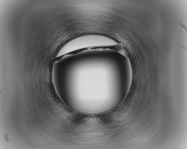 X0000096420689200801241317