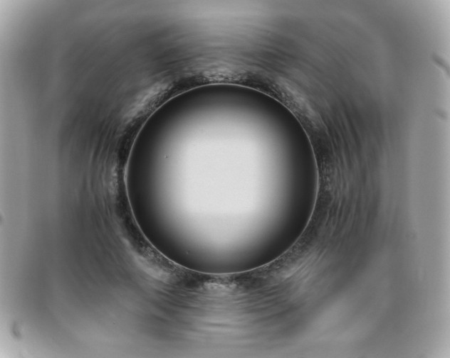 X0000096420690200801241317