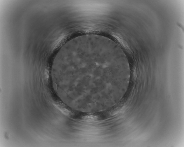 X0000096420691200801241317