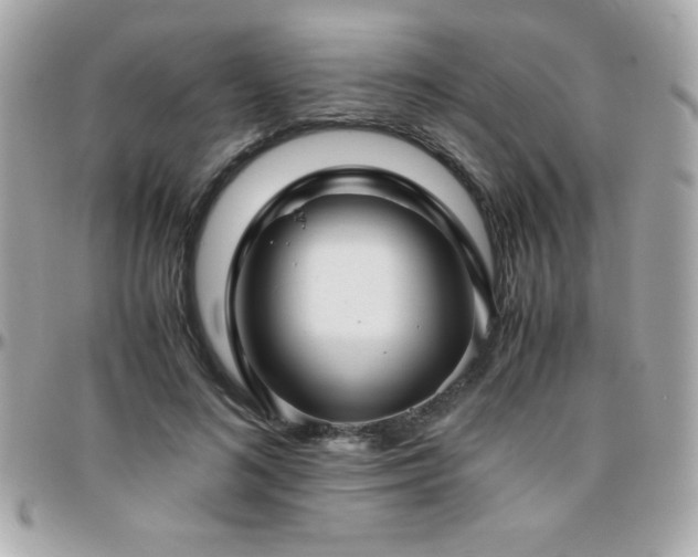 X0000096420692200801241317