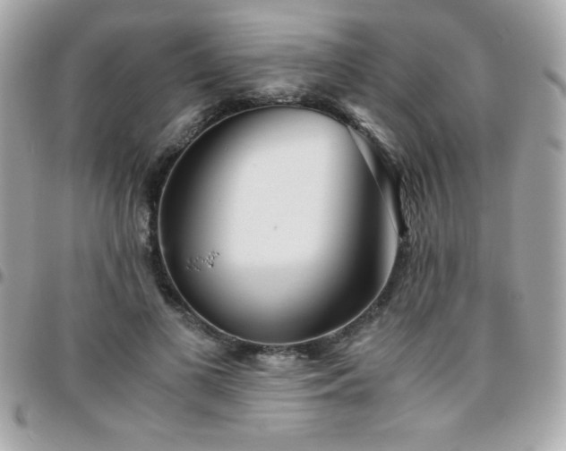 X0000096420693200801241317