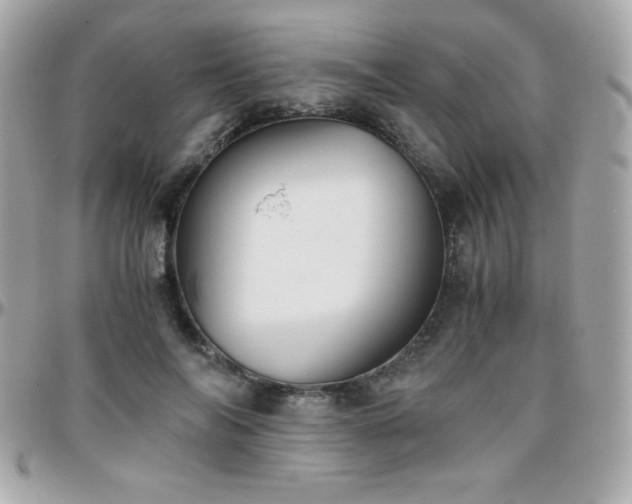 X0000096420694200801241317