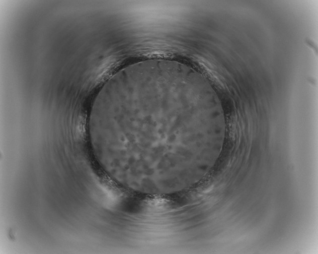 X0000096420695200801241317