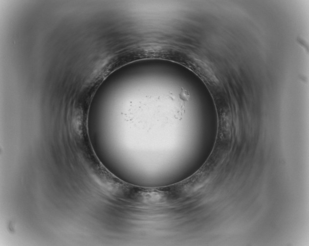 X0000096420698200801241317